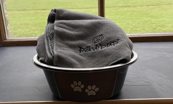 Dogs welcome